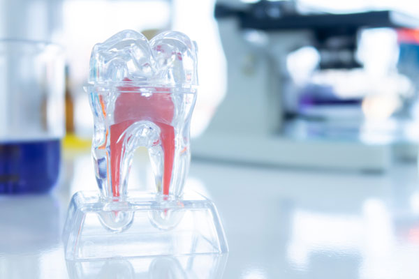 Consultation on financing dental treatment in Cologne