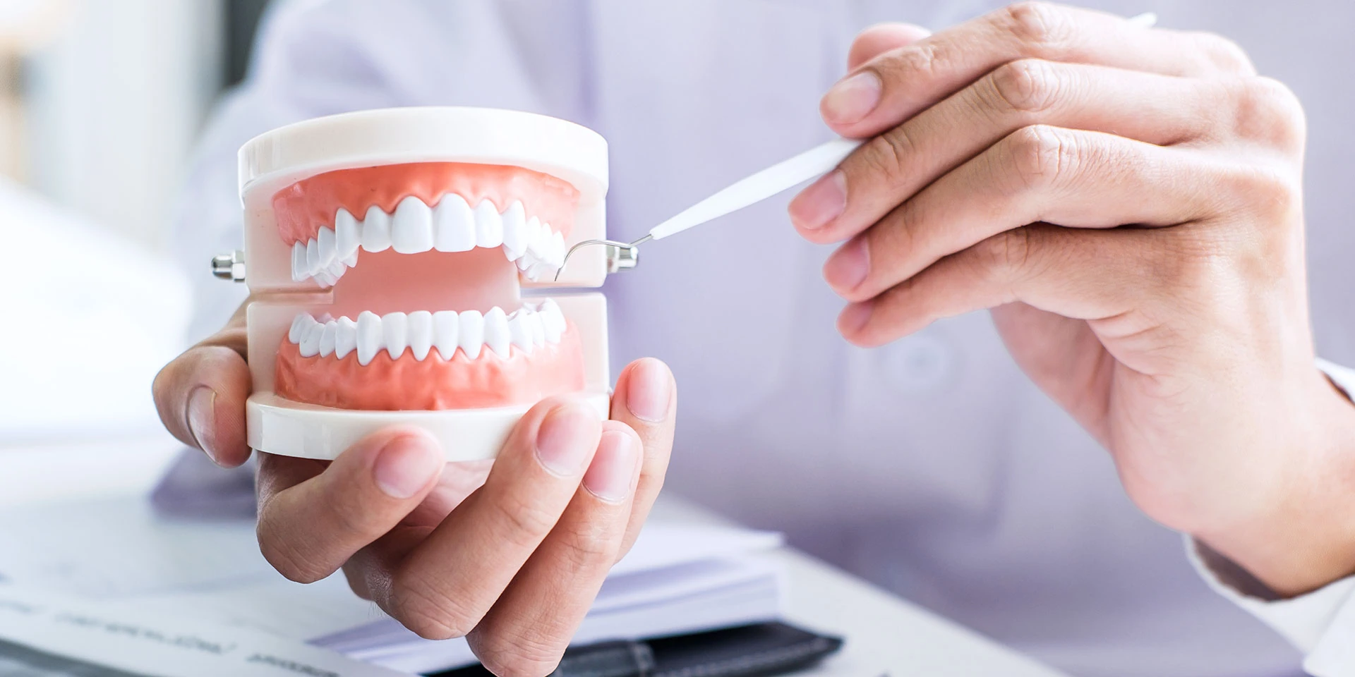 Dental model with a denture in the dentist’s hand